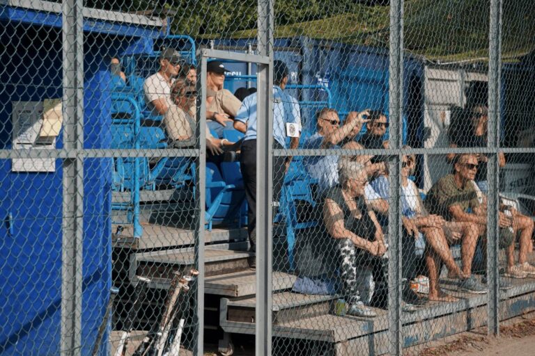 Spectators sit in blue stands at the Danish National Softball Championships 2024